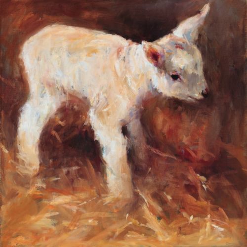 Little lamb, oil, 2009, 50 x 50 cm, Sold