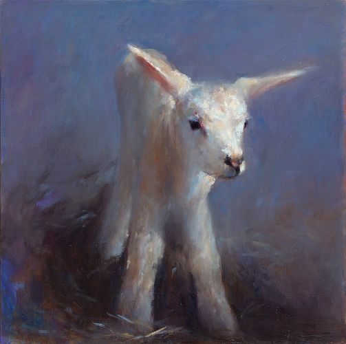 Lamb, oil / canvas, 2009, 50 x 50 cm cm, Sold