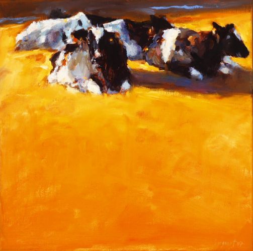 Koeien in zomerslicht, Olieverf / doek, 2007, 40 x 40 cm, Verkocht